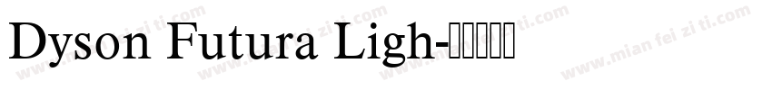Dyson Futura Ligh字体转换